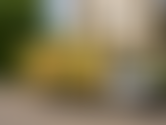 Pourquoi faire appel à une entreprise de débarras à Lyon plutôt que de le faire soi-même ?