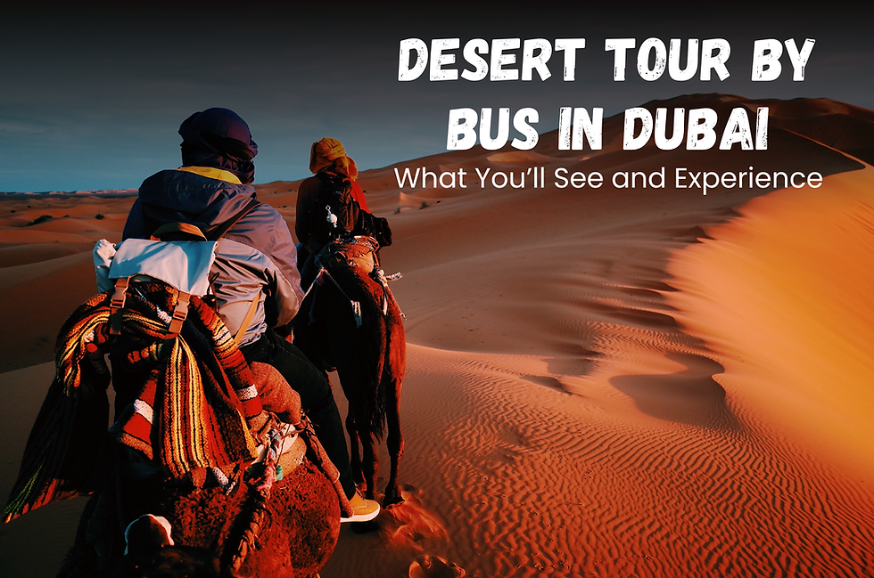 Desert Tour by Bus in Dubai: What You’ll See and Experience