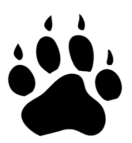 Cougar Paw _edited_edited.png