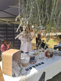 555447114_1230504009110435_8199486306159888039_n