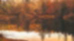 autumn-2021154_1920