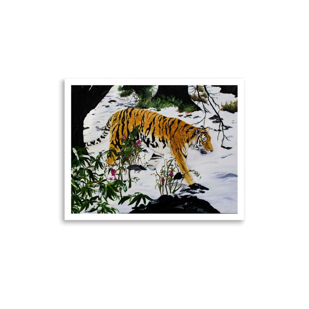 Cat walk, Paper Print