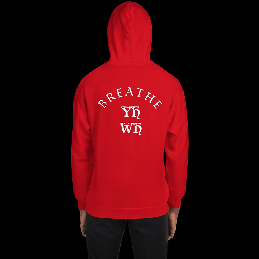 Thumbnail: Faith-based hoodie with a ‘God 1st’ logo on the front and a spiritual message ‘Breathe YH WH’ displayed across the back.