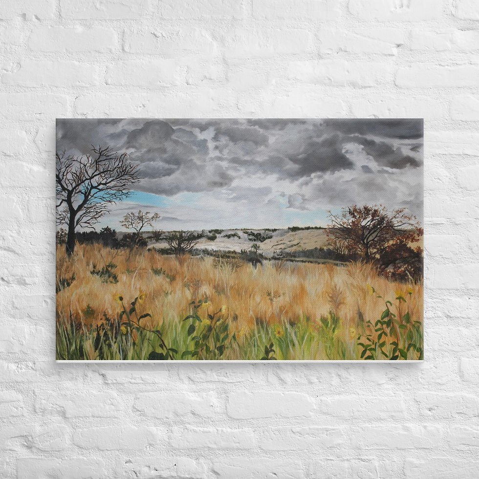 Thumbnail: Summer Storms Canvas Print