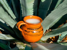 Celebra Tlaxco XV edición del Festival del Pulque