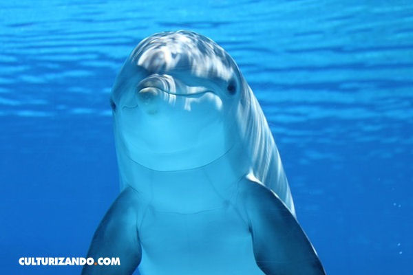 Foto: Culturizando.com