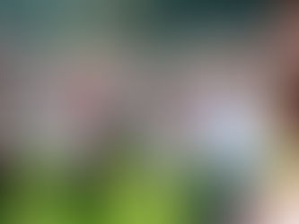 Gobierno de Pepe Chedraui lleva a niñas y niños al Día Olímpico 2026