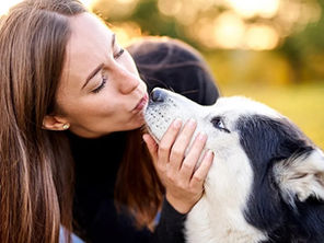 ¿A los perros les gustan los besos?