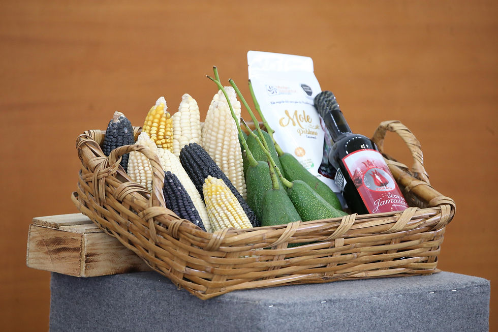 Con ciencia e innovación, Puebla impulsa desarrollo agroindustrial con los CIITRA