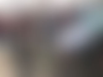 Pepe Chedraui refuerza acciones de reforestación en la capital poblana