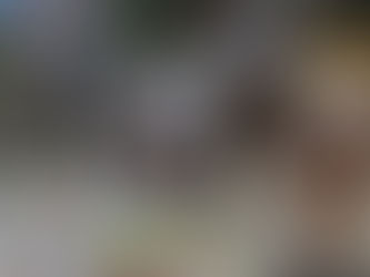 UTH promueve reciclaje de PET