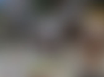 UTH promueve reciclaje de PET