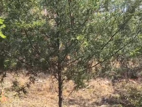 RHÁNA SANA "Refugio-hábitat natural-santuario en La Calera"