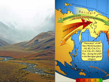 Beringia, el puente que unió Asia y América hasta hace 10 mil años