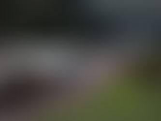 Bloqueos en autopistas dejan pérdidas por 10 mil mdp