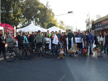 Fortalece gobierno estatal movilidad sustentable