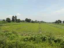 SIA promueve programa agrícola contra el cambio climático