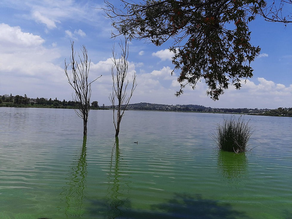 Recuperan cuerpos de agua y se recargan acuíferos en Tlaxcala por lluvias recientes