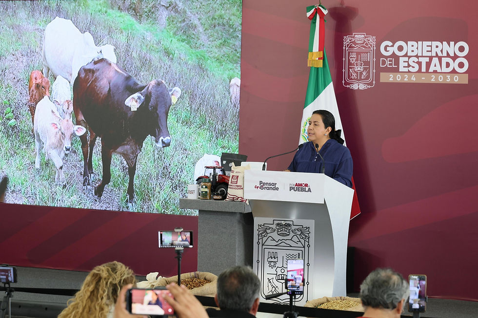 Intensifica Puebla combate al gusano barrenador con vigilancia, capacitación y prevención