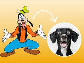 La pregunta que muchos fans de Disney se hacen desde hace años: ¿Qué animal es Goofy?