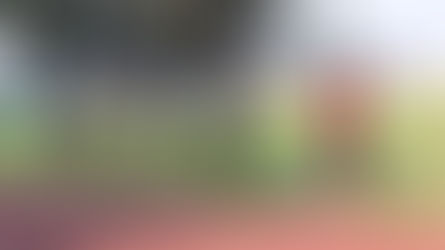 Recibirá Tlaxcala a más de 8 mil atletas en la Olimpiada Nacional Conade 2026