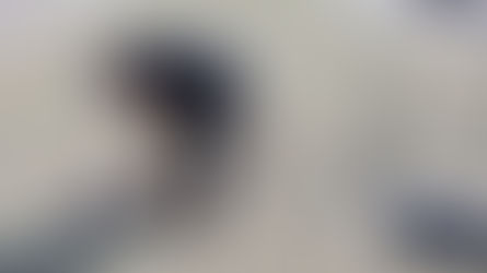ISSSTE Puebla participa en Jornada Nacional de Reforestación