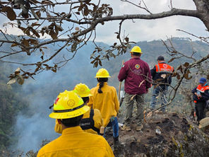Gobierno de Puebla intensifica acciones de combate de incendios forestales
