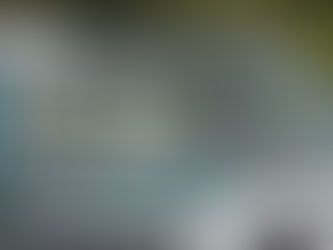 Hipólito Mora fue emboscado por comando de 25 sicarios, se realizaron mil disparos