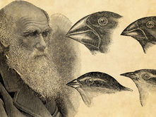 Día de Darwin