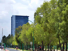BUAP destaca entre universidades más sustentables internacionalmente