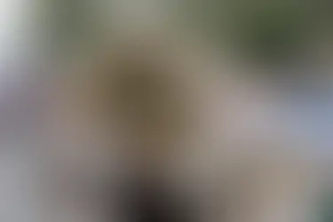 El desfile cívico militar de Mayo regresará a su tradicional ruta sobre bulevar 5 de Mayo