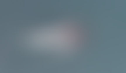 ¿Qué es un Narval? | Conocido como el «pez con cuerno de unicornio»