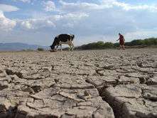 Conagua reporta sequía severa o extrema 85 municipios de Puebla