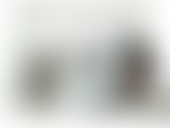 La regresiva democracia de la 4T