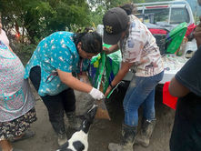 Gobierno de Puebla continúa con atención a seres sintientes en la Sierra Norte