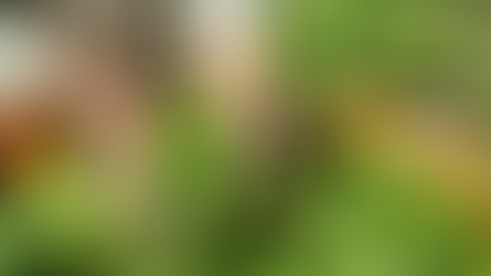 Encarece delincuencia canasta básica hasta un 20% en México