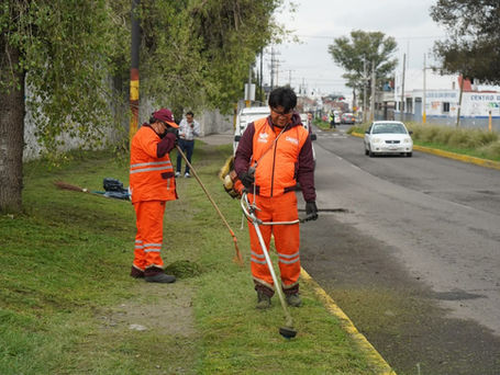 Ayuntamiento de Puebla realiza jornada de limpieza y chapeo en el Seminario Palafoxiano