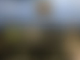 Va INE porque mujeres ganen al menos 10 mil cargos públicos en 2024