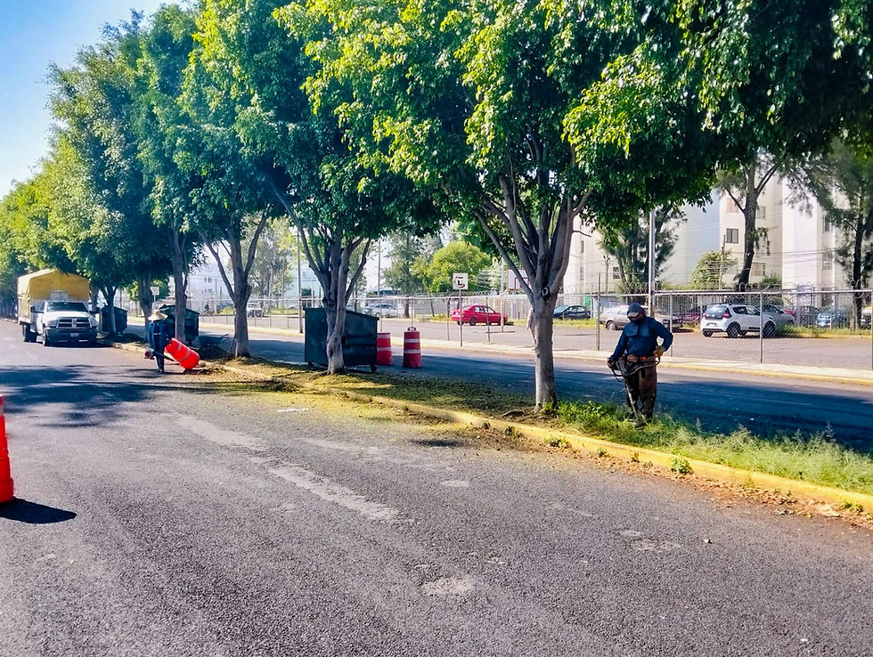 Ayuntamiento de Puebla interviene más de 16 millones de metros cuadrados de camellones