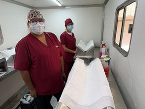 Fortalece Ayuntamiento de Puebla bienestar animal con más de 18 mil esterilizaciones gratuitas