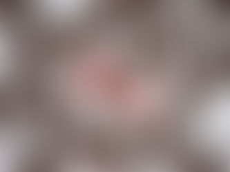 Día de las Cerezas cubiertas de chocolate