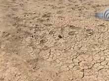 Conagua reporta sequía en 44 municipios de Tlaxcala