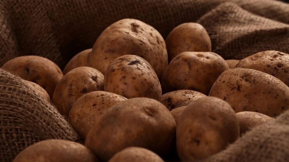 ¿Cómo lavar y cómo cocinar las papas de tierra?