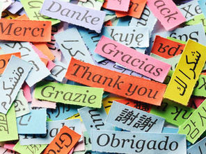 Día Internacional del Agradecimiento