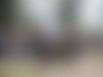 “Sueño con ver a Puebla como una zona verde y sin corrupción”: Armenta Mier