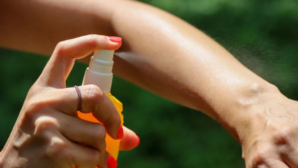 Cómo hacer un repelente para mosquitos casero con ingredientes naturales