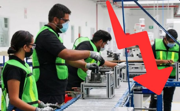 Reporta IMSS caída de empleo durante julio 2026