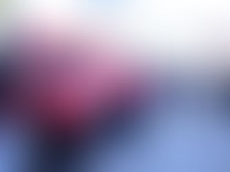 Buscará PRI Puebla ir por regreso de Blanca Alcalá y cuadros históricos para fortalecer su militancia