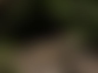 Cárteles compran explosivos de guerra: minas, drones armados y morteros