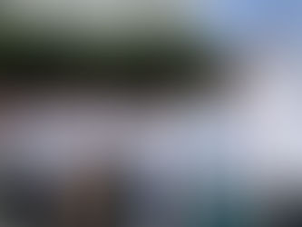 Especialista del ISSSTE Puebla participa en diplomado internacional sobre longevidad y atención integral